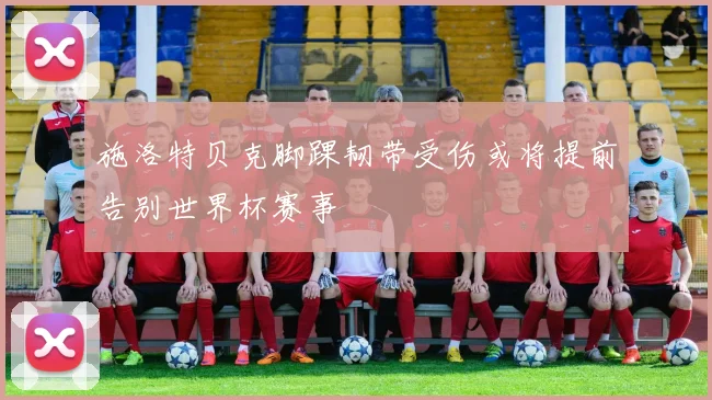 施洛特贝克脚踝韧带受伤或将提前告别世界杯赛事