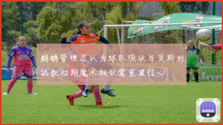 鹈鹕管理层认为球队现状与莫斯利执教初期魔术相似需重建信心